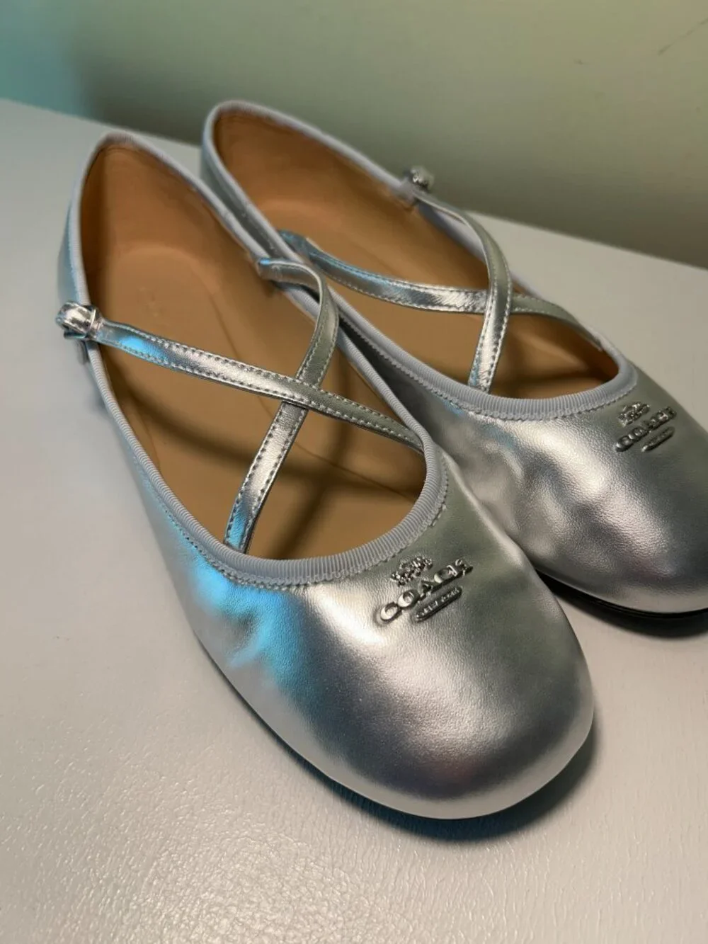 Coach Women's Phoebe Leather Ballet Flats